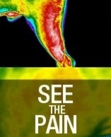 See the Pain